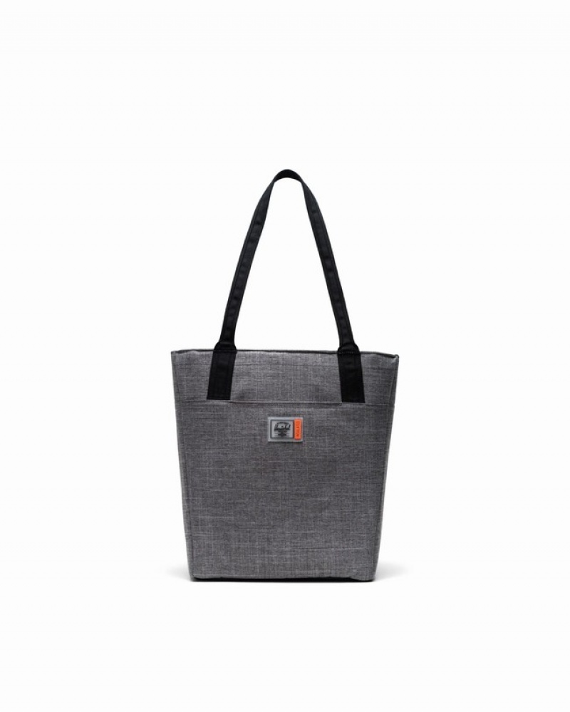 Bolsas Tote Herschel Alexander Zip Small | Insulated Cinzentas | RISX10567