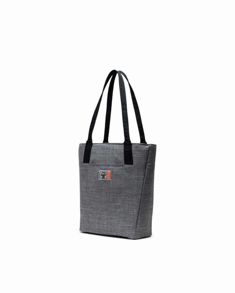 Bolsas Tote Herschel Alexander Zip Small | Insulated Cinzentas | RISX10567
