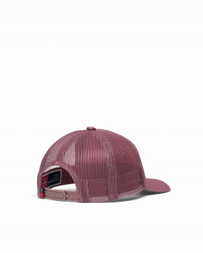 Boné Herschel Whaler Mesh Cinzentas Rosa | HZJI78261