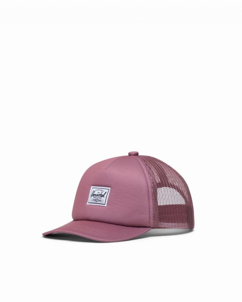 Boné Herschel Whaler Mesh Cinzentas Rosa | HZJI78261