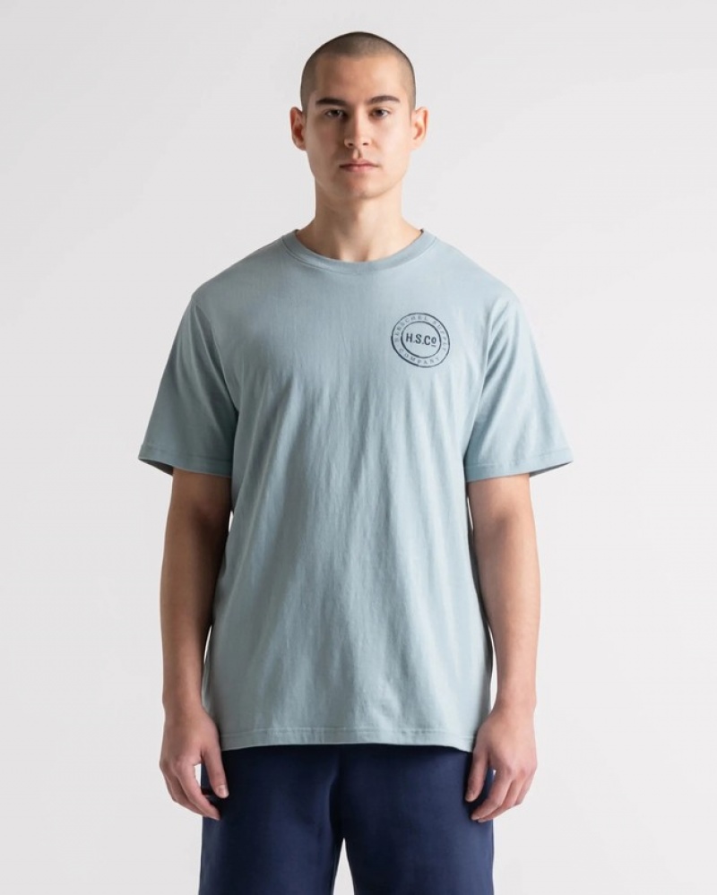 Camiseta Herschel Logo Cinzentas | ASTK17203