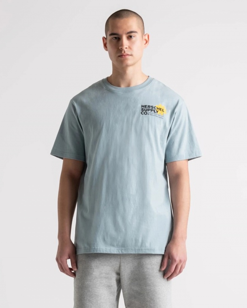 Camiseta Herschel Logo Cinzentas | GQBO82340